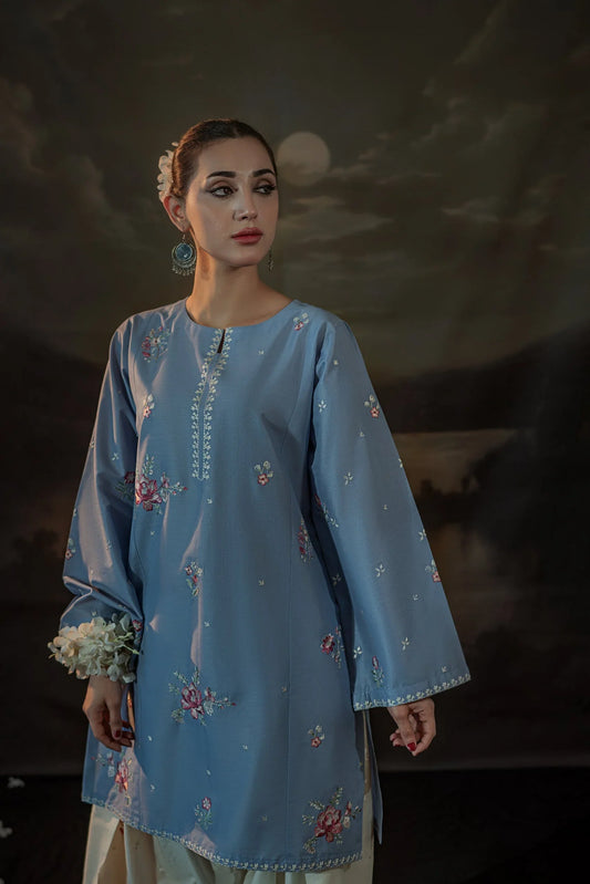 Fiza Embroidered 2PC Premium